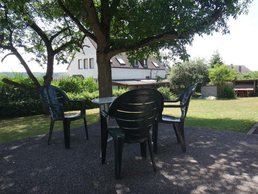 Ferienwohnung Moni Trierweiler 外观 照片